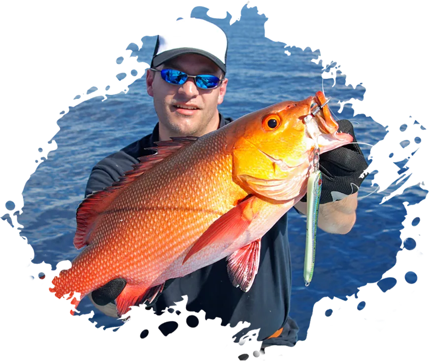 Modern Design Exotic Fishinizerry - 海星体育5