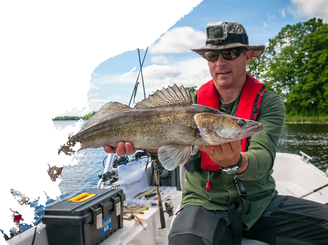 Modern Design Gears Fishing Rods - 海星体育5
